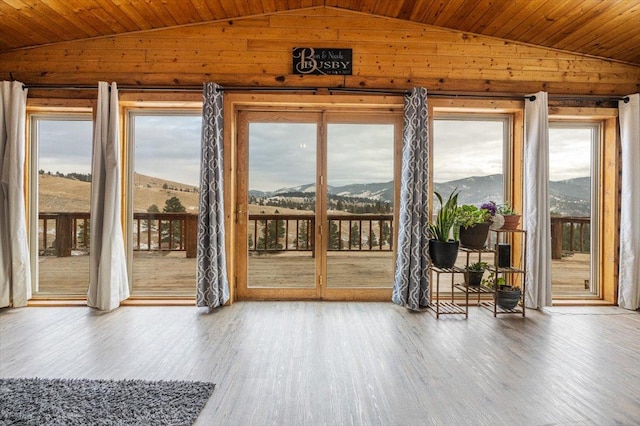 doorway to outside with a mountain view, plenty of natural light, wood-type flooring, and vaulted ceiling