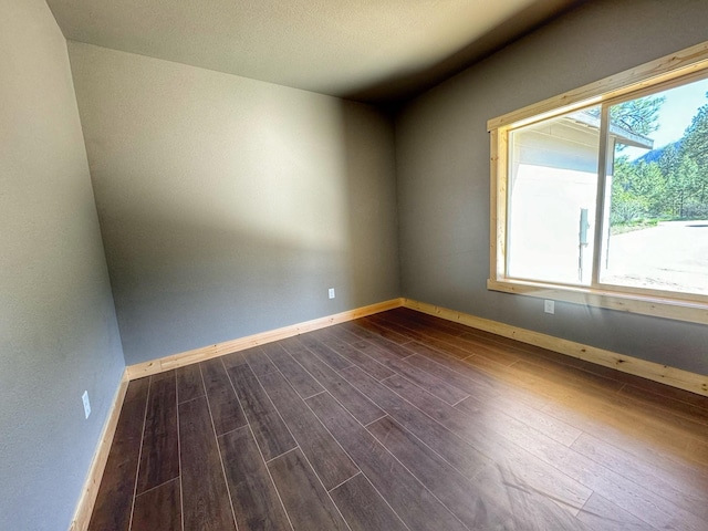 empty room featuring a healthy amount of sunlight and wood-type flooring