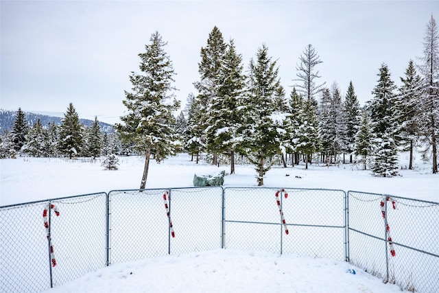 yard layered in snow with a mountain view