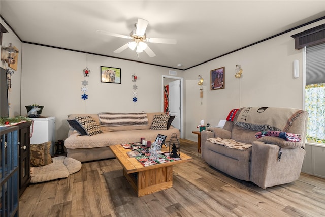 living room with ceiling fan, ornamental molding, and light wood-type flooring