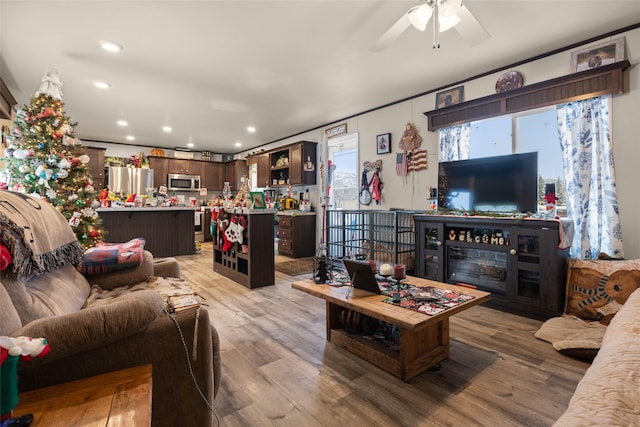 living room featuring light hardwood / wood-style floors and ceiling fan