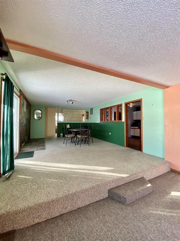 interior space featuring carpet floors and a textured ceiling