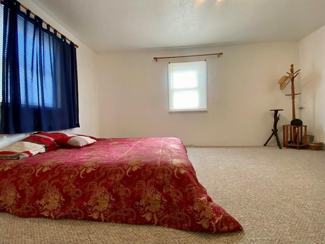 bedroom with carpet