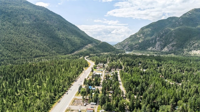 property view of mountains