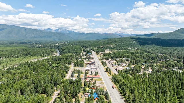 birds eye view of property featuring a mountain view