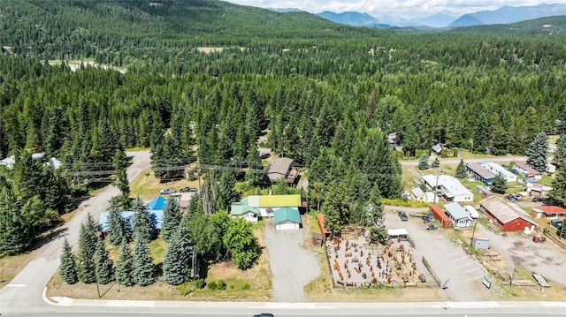 bird's eye view with a mountain view