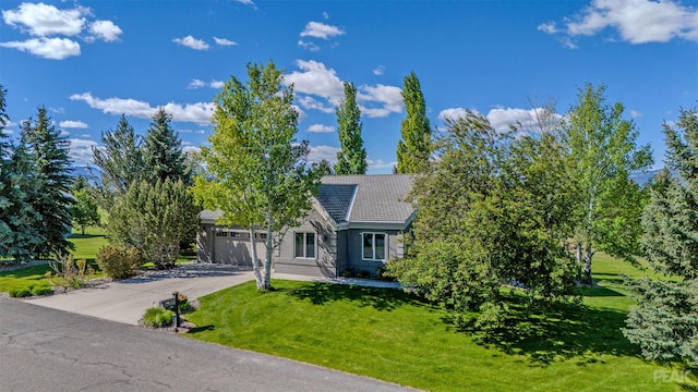 view of property hidden behind natural elements featuring a garage and a front lawn