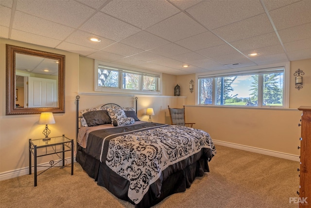 carpeted bedroom with multiple windows and a drop ceiling