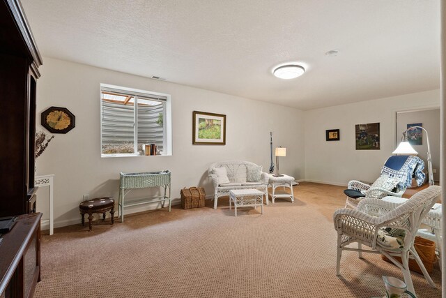 living area with carpet