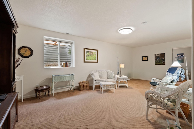 living area with light colored carpet and a textured ceiling