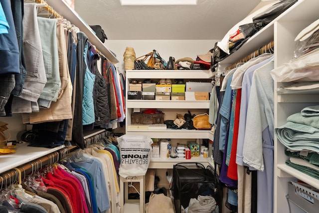 view of spacious closet