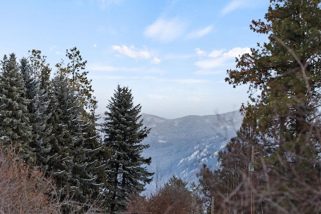 view of mountain feature