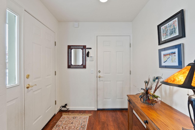 foyer featuring dark wood-type flooring