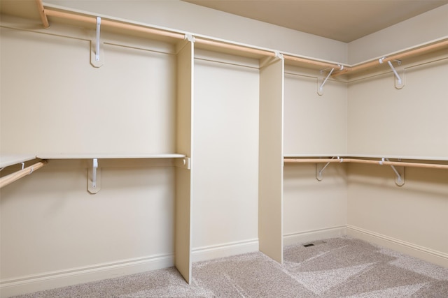 spacious closet with light carpet