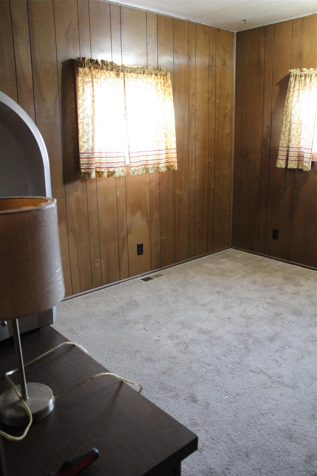 empty room featuring carpet floors and wooden walls