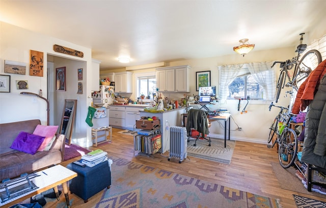 living room featuring light wood-type flooring and radiator