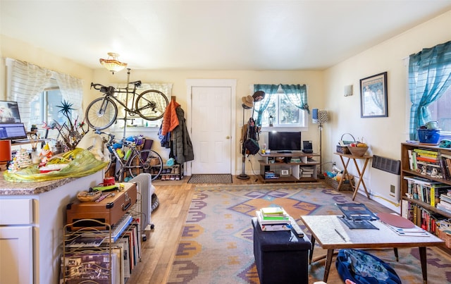 living room featuring wood-type flooring