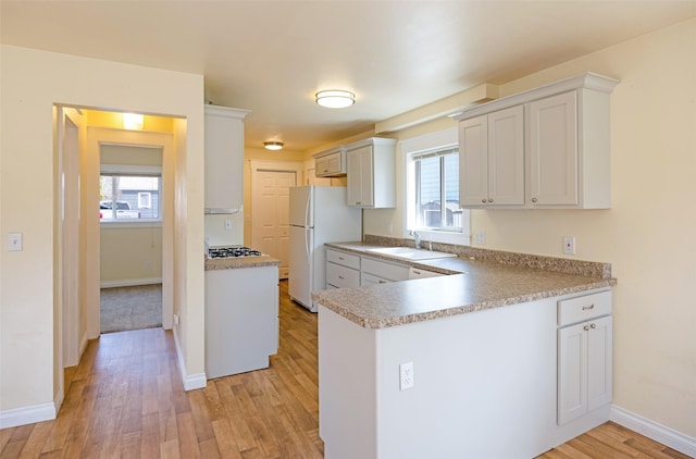 200 N Ave W, Missoula, MT 59801 - kitchen with plenty of natural light, light wood-style floors, a sink, and freestanding refrigerator