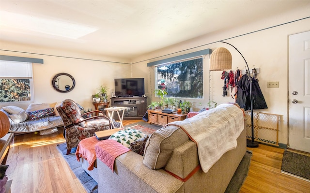 living room featuring light hardwood / wood-style flooring