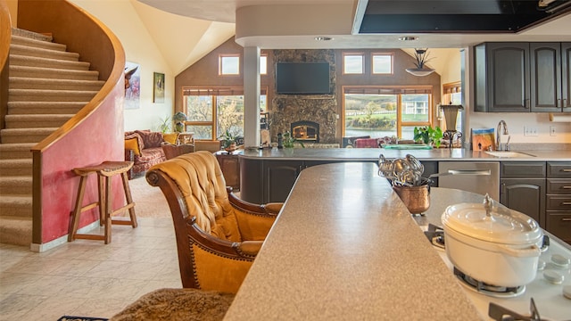 kitchen with a wealth of natural light, a fireplace, stainless steel dishwasher, and sink