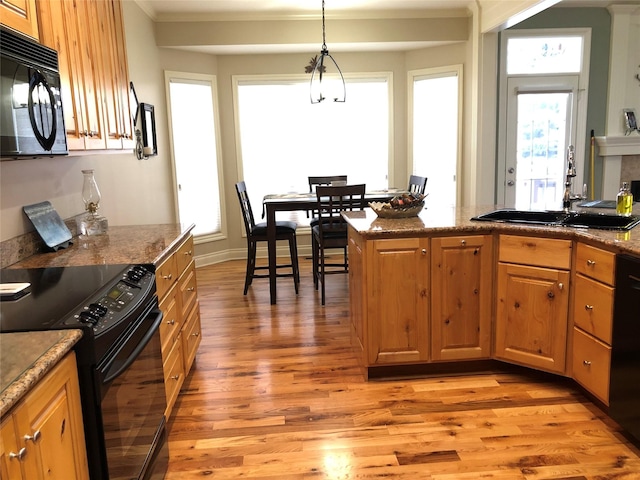 kitchen with sink, light hardwood / wood-style flooring, hanging light fixtures, and black appliances