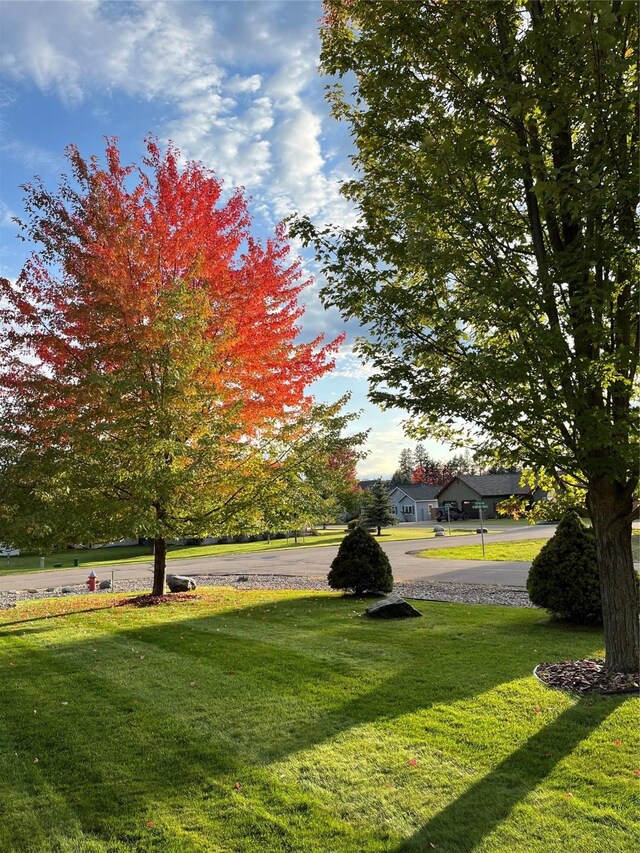 view of home's community featuring a lawn