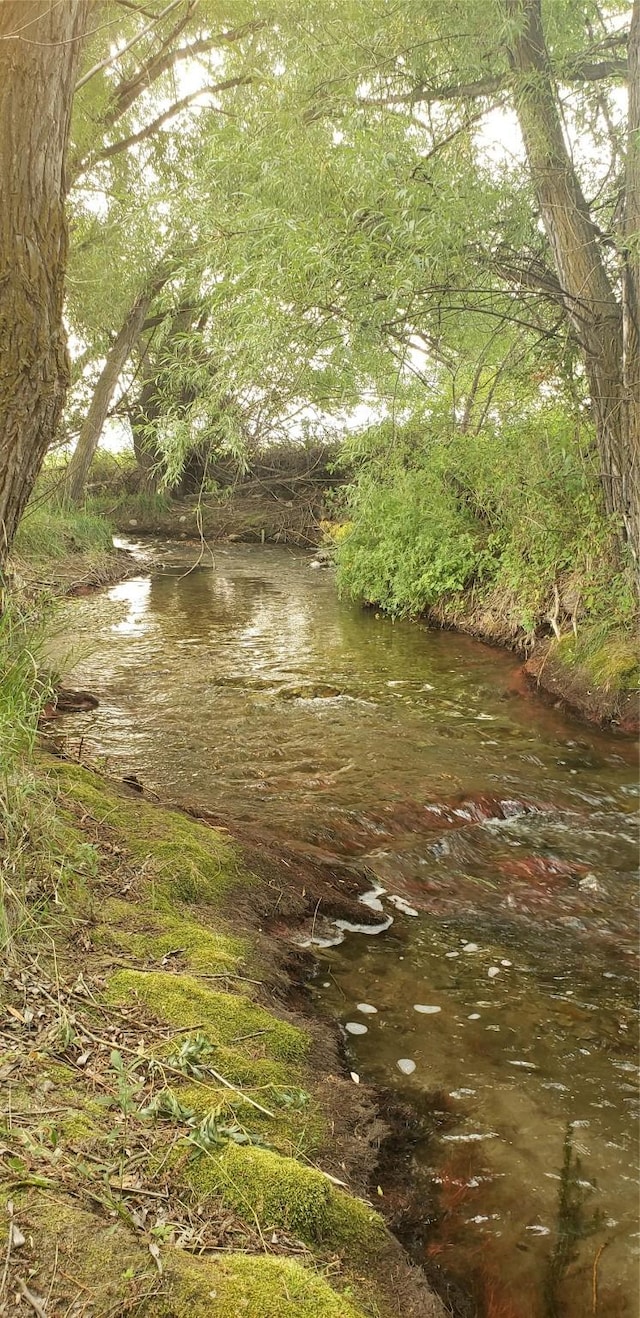 view of nature