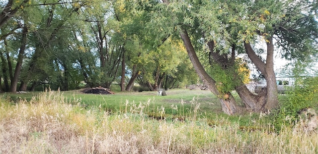 view of landscape