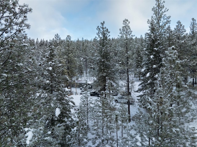 view of snow covered land