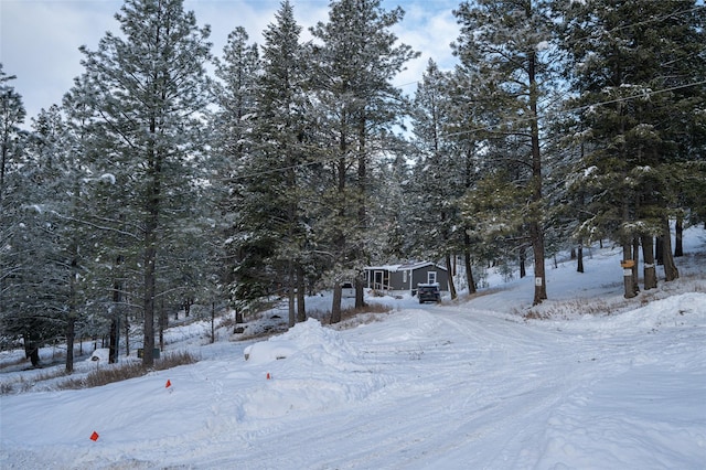 view of yard covered in snow