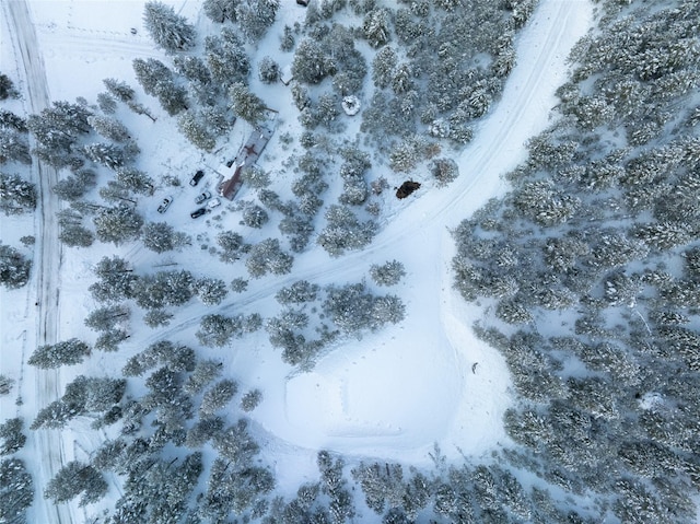 view of snowy aerial view