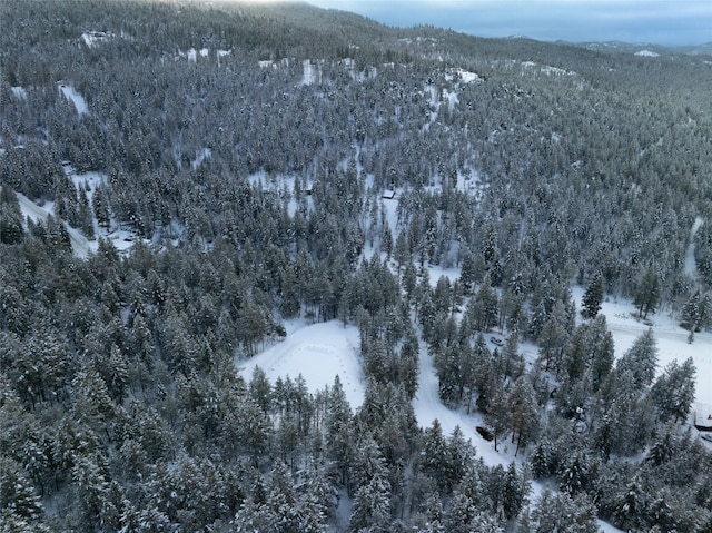 snowy aerial view featuring a mountain view