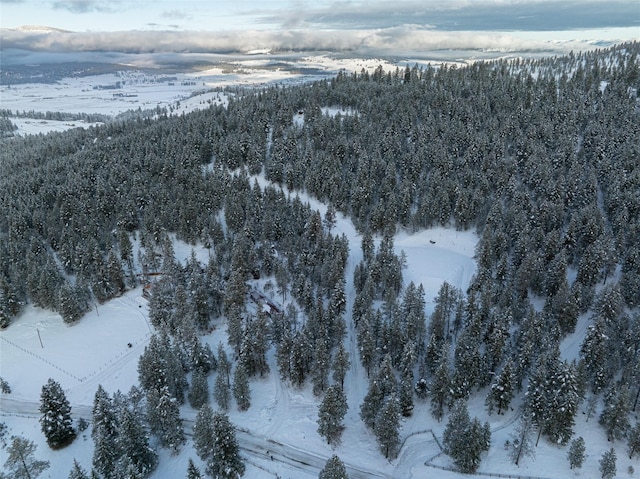 view of snowy aerial view