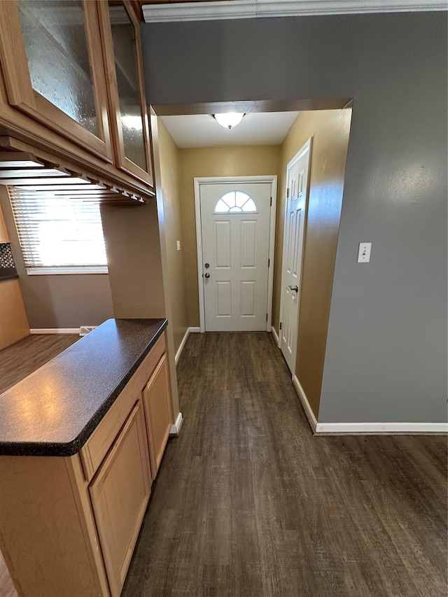 doorway to outside featuring dark hardwood / wood-style flooring