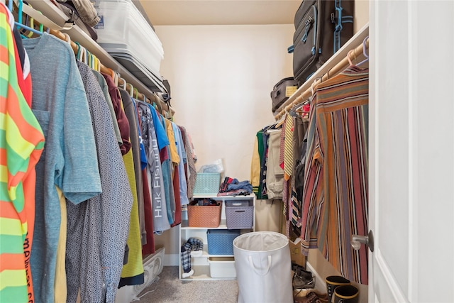 view of spacious closet