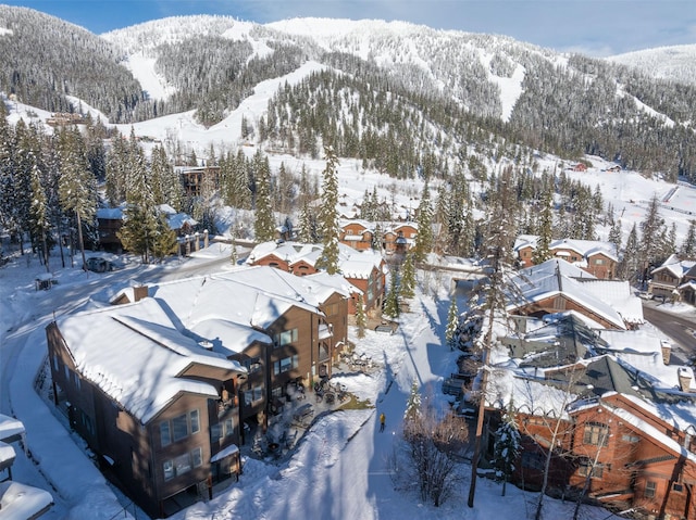 snowy aerial view featuring a mountain view and a residential view