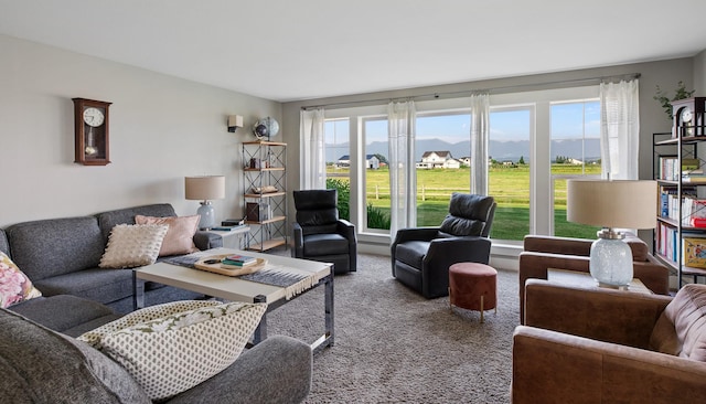 living room with carpet floors