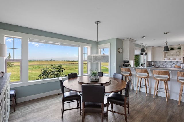 dining space featuring hardwood / wood-style floors, a rural view, and sink