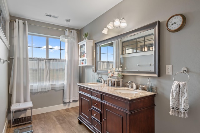 bathroom featuring hardwood / wood-style floors and vanity