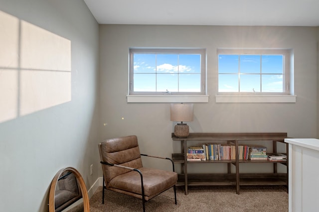 sitting room featuring plenty of natural light and carpet floors