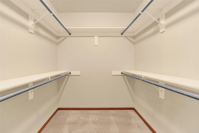 walk in closet with light carpet