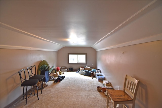 additional living space featuring carpet floors and vaulted ceiling