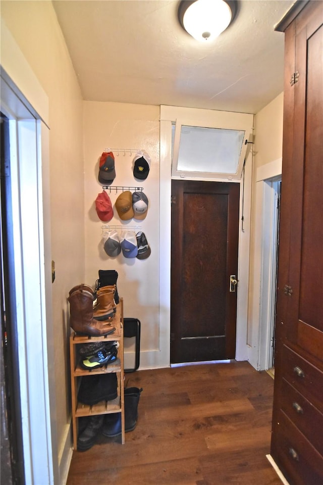 doorway featuring dark hardwood / wood-style flooring