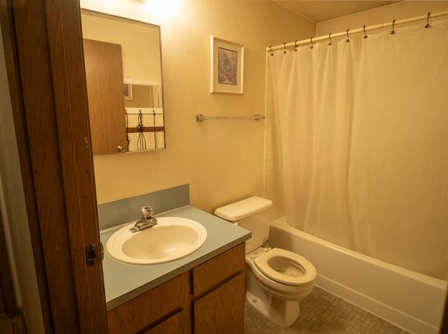 full bathroom with vanity, shower / bath combination with curtain, and toilet