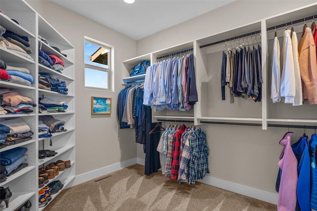 walk in closet with light carpet