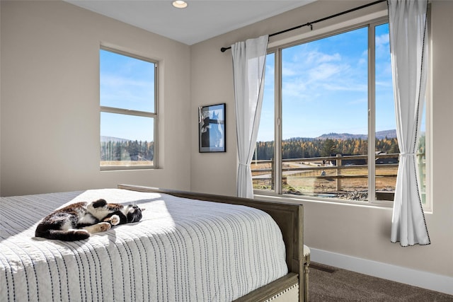 carpeted bedroom with multiple windows