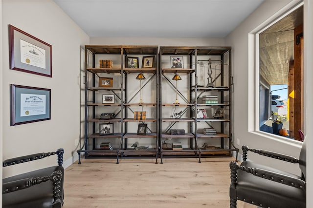 interior details with hardwood / wood-style floors