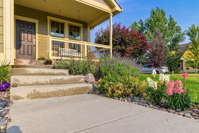 view of exterior entry featuring covered porch