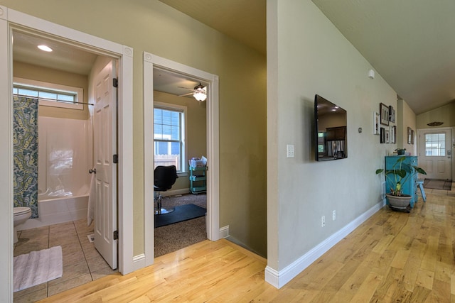 hallway featuring plenty of natural light and light hardwood / wood-style flooring