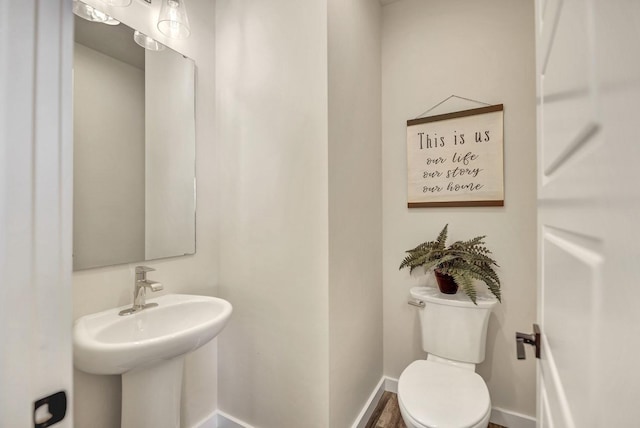 bathroom with wood-type flooring and toilet